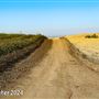 Tejon Ranch