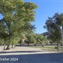 Tejon Ranch