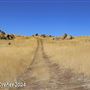 Tejon Ranch
