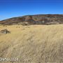 Tejon Ranch