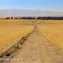 Tejon Ranch