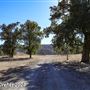 Tejon Ranch