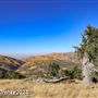 Tejon Ranch