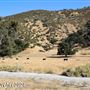 Tejon Ranch