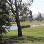 Prado Regional Park