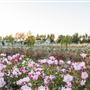 Garden Valley Ranch