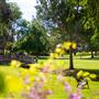 California Lutheran University - Cal Lutheran - CLU