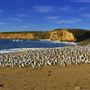 Wilder Ranch State Park (SP) / Four Mile Beach & Three Mile Beach