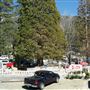 Idyllwild