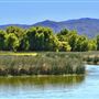 Anderson Marsh State Historic Park (SHP)