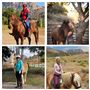 River Oaks Ranch