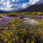 Anza-Borrego Desert State Park (SP)