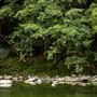 Benbow State Recreation Area (SRA)