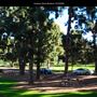 Junipero Serra Museum