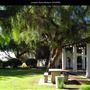 Junipero Serra Museum