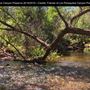 Los Penasquitos Canyon Preserve