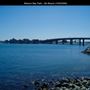 Mission Bay Parks