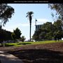 Nate's Point Dog Park
