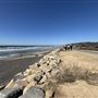 Torrey Pines State Beach (SB)