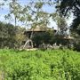 Lummis Home and Gardens