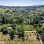 1900 Apple Farm