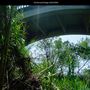 Old Bonsall Bridge