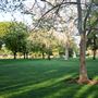 Oak Way Park
