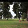 Presidio Park