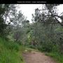 Presidio Park