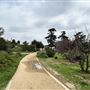Silver Lake Reservoir
