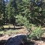 Mammoth Lakes, CA