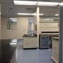 Lemon Labs