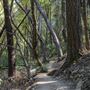 Castle Rock State Park (SP)
