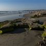 Cardiff State Beach (SB)