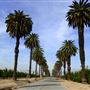 California Citrus State Historic Park (SHP)