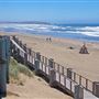 Bodega Head / Dunes (Sonoma Coast State Beach)