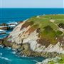 Bodega Head / Dunes (Sonoma Coast State Beach)