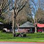 Cotati