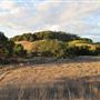 Healdsburg