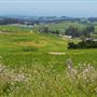 Petaluma