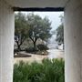 Sonoma State Historic Park (SHP) / General Vallejo’s Home / The Barracks / Mission San Francisco Solano