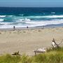Salmon Creek Beach (Sonoma Coast State Park)
