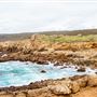 Salt Point State Park (SP)