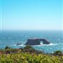 Sonoma Coast State Park (SP)