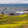 Sonoma Coast State Park (SP)
