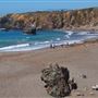 Sonoma Coast State Park (SP)