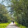 Spring Lake Regional Park