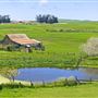 Valley Ford