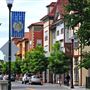 Windsor