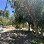 Modern Farmhouse on Expansive Agoura Hills Lot – Film-Ready & Versatile